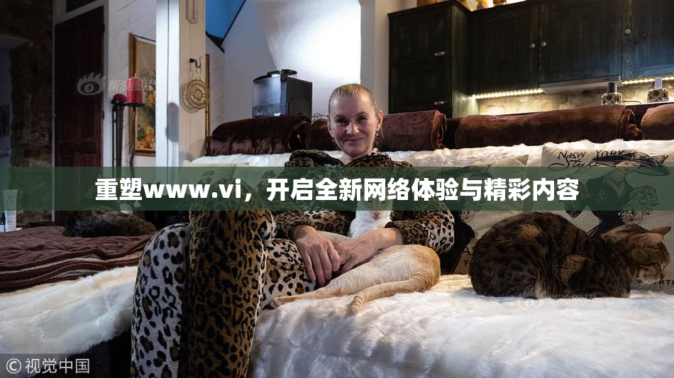 重塑www.vi，开启全新网络体验与精彩内容