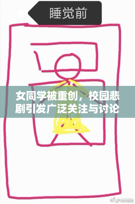 女同学被重创，校园悲剧引发广泛关注与讨论