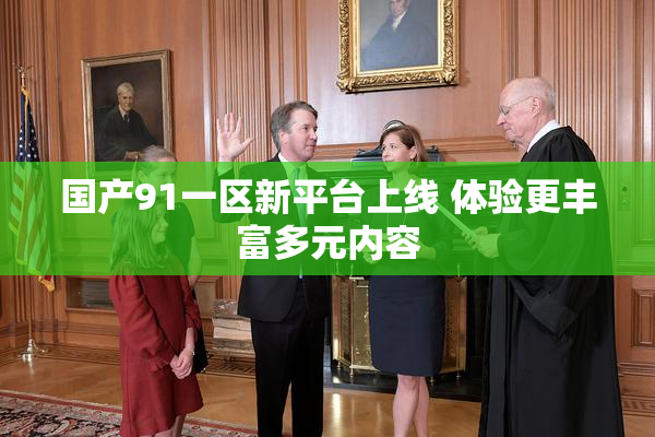 国产91一区新平台上线 体验更丰富多元内容