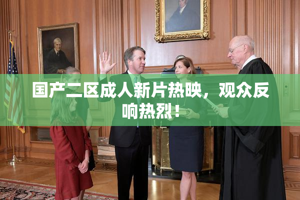 国产二区成人新片热映，观众反响热烈！
