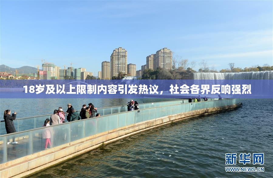 18岁及以上限制内容引发热议，社会各界反响强烈