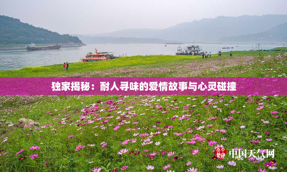 独家揭秘：耐人寻味的爱情故事与心灵碰撞