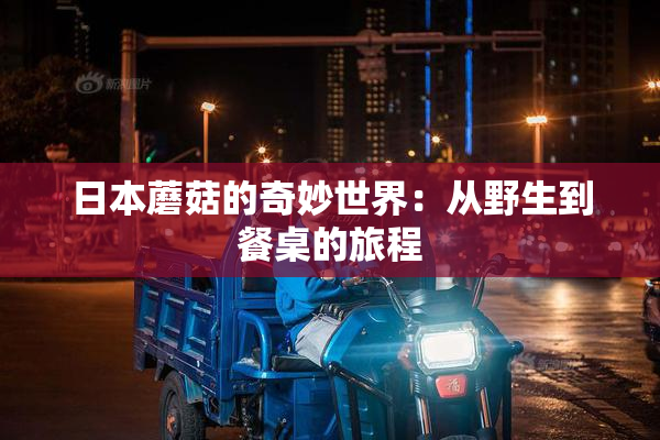 日本蘑菇的奇妙世界：从野生到餐桌的旅程