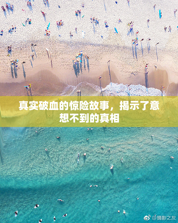 真实破血的惊险故事，揭示了意想不到的真相