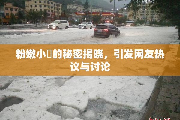 粉嫩小泬的秘密揭晓，引发网友热议与讨论