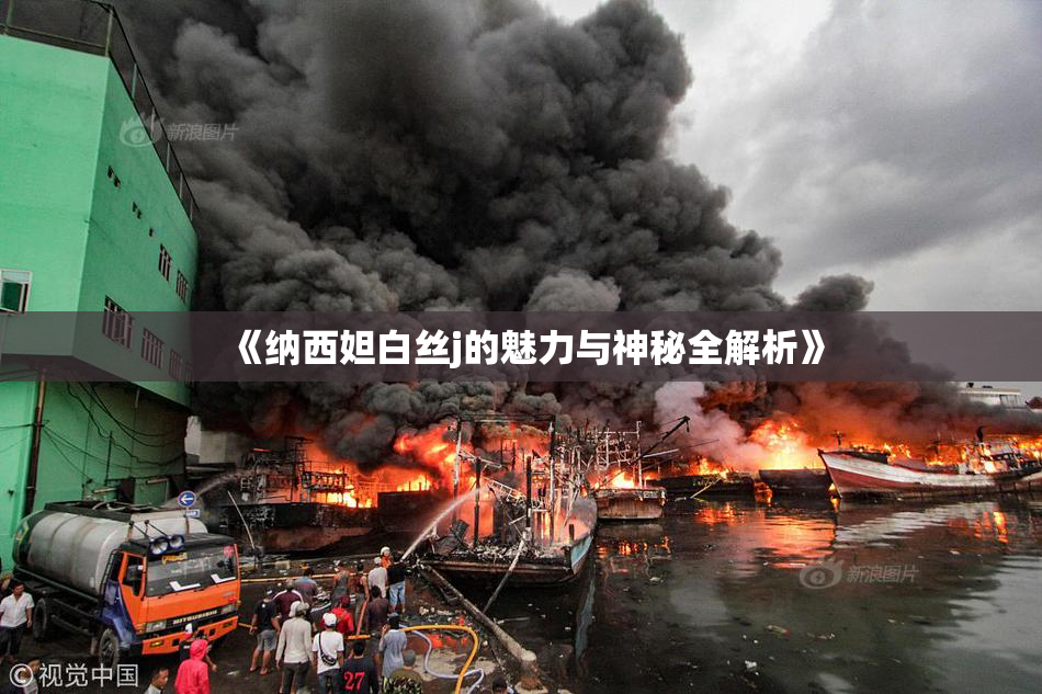 《纳西妲白丝j的魅力与神秘全解析》