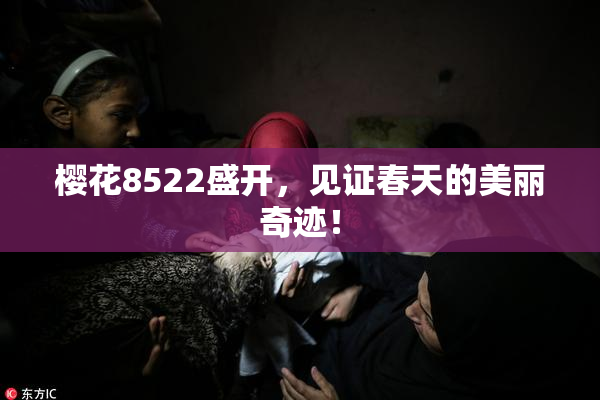 樱花8522盛开，见证春天的美丽奇迹！