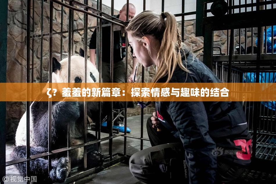 ζ？羞羞的新篇章：探索情感与趣味的结合