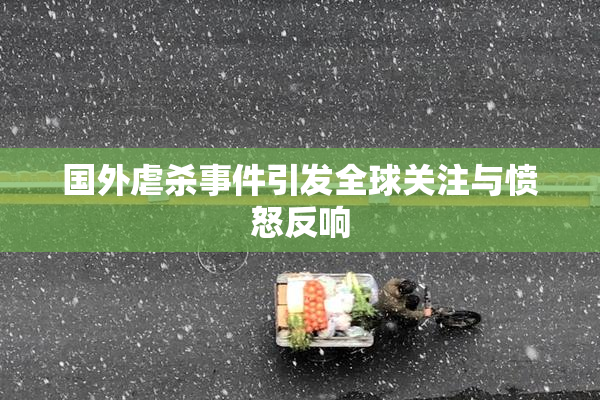国外虐杀事件引发全球关注与愤怒反响