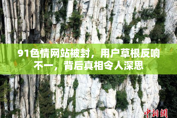 91色情网站被封，用户草根反响不一，背后真相令人深思