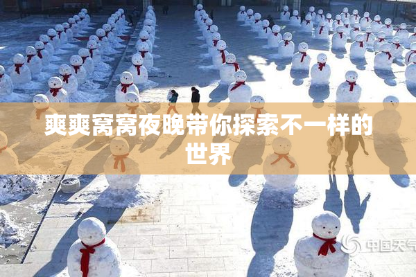 爽爽窝窝夜晚带你探索不一样的世界
