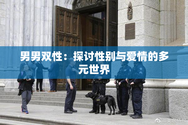 男男双性：探讨性别与爱情的多元世界
