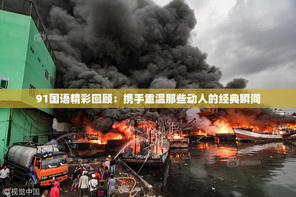 91国语精彩回顾：携手重温那些动人的经典瞬间