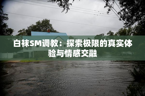 白袜SM调教：探索极限的真实体验与情感交融