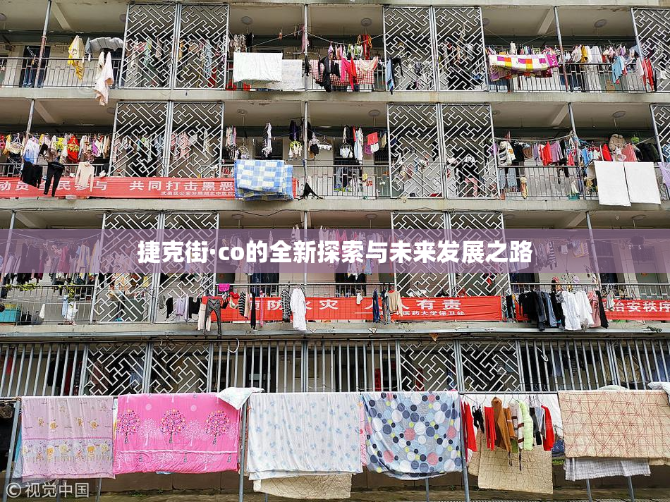 捷克街·co的全新探索与未来发展之路