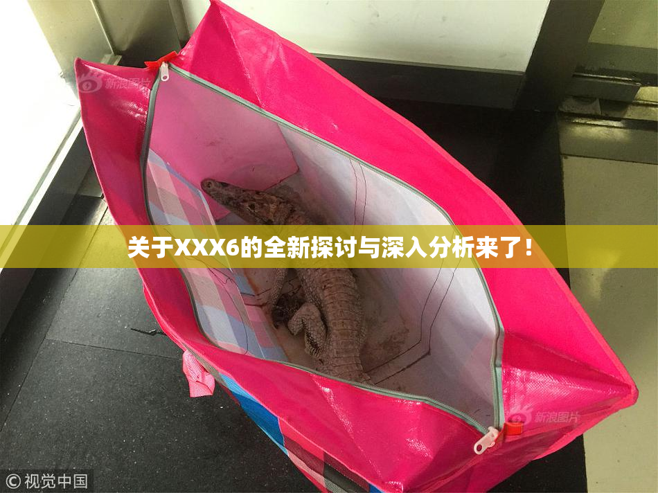 关于XXX6的全新探讨与深入分析来了！