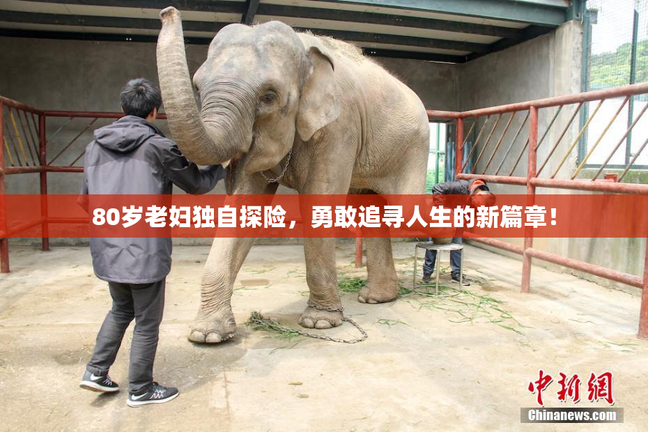 80岁老妇独自探险，勇敢追寻人生的新篇章！