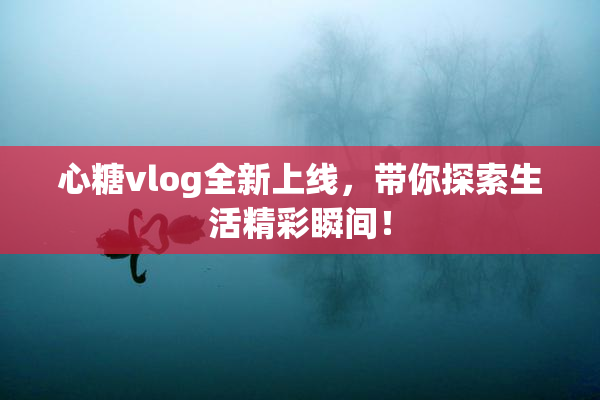 心糖vlog全新上线，带你探索生活精彩瞬间！
