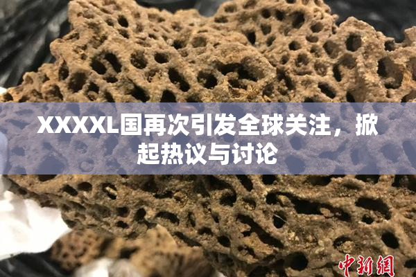 XXXXL国再次引发全球关注，掀起热议与讨论