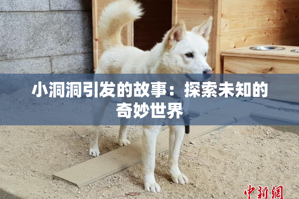 小洞洞引发的故事：探索未知的奇妙世界