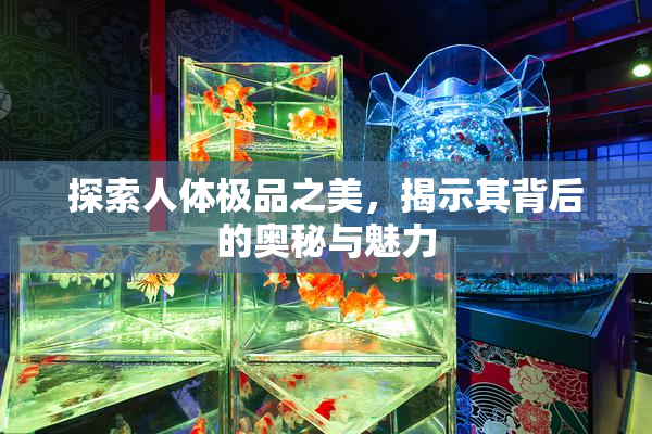 探索人体极品之美，揭示其背后的奥秘与魅力