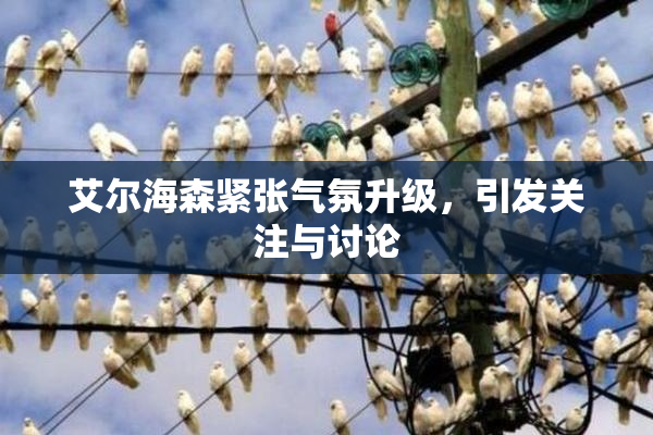 艾尔海森紧张气氛升级，引发关注与讨论