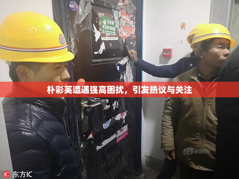 朴彩英遭遇强高困扰，引发热议与关注