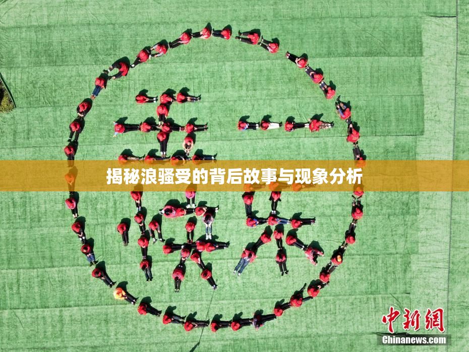 揭秘浪骚受的背后故事与现象分析