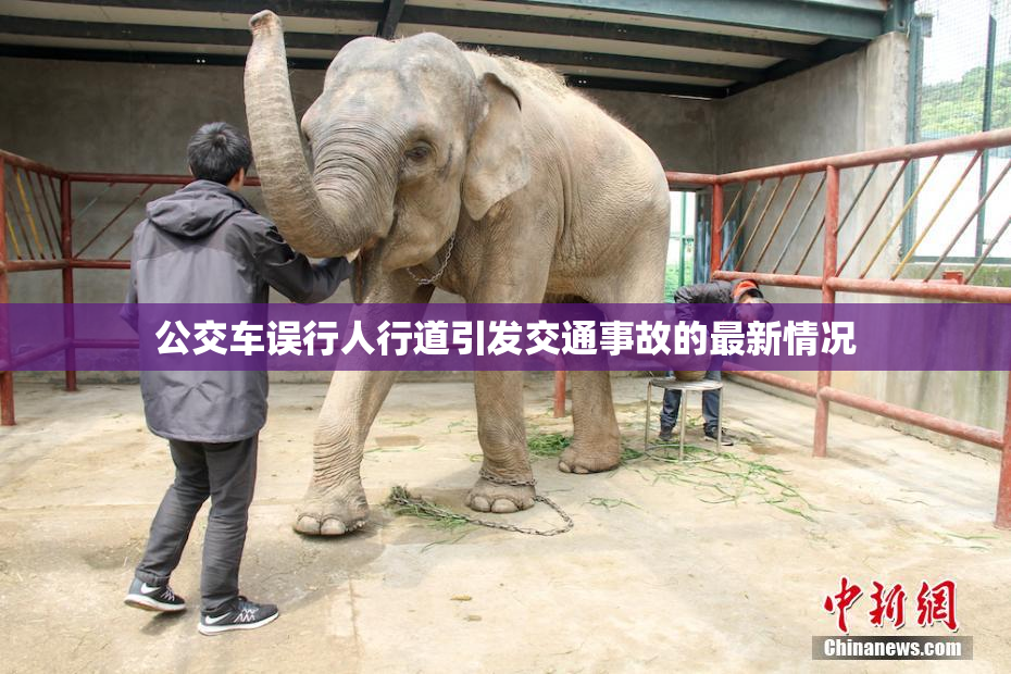公交车误行人行道引发交通事故的最新情况