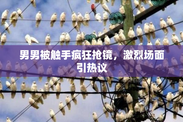 男男被触手疯狂抢镜，激烈场面引热议