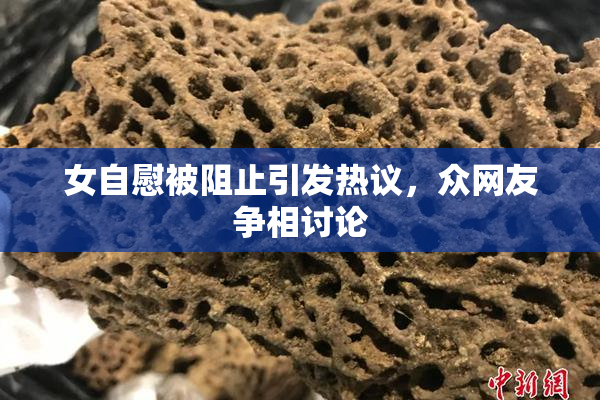 女自慰被阻止引发热议，众网友争相讨论