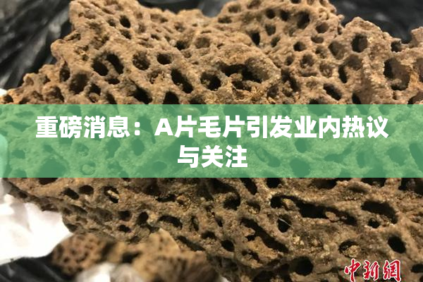 重磅消息：A片毛片引发业内热议与关注