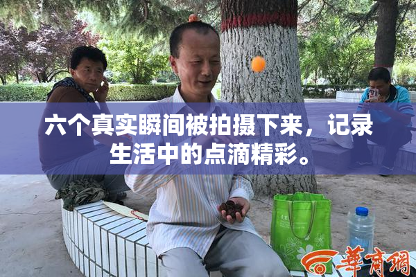 六个真实瞬间被拍摄下来，记录生活中的点滴精彩。