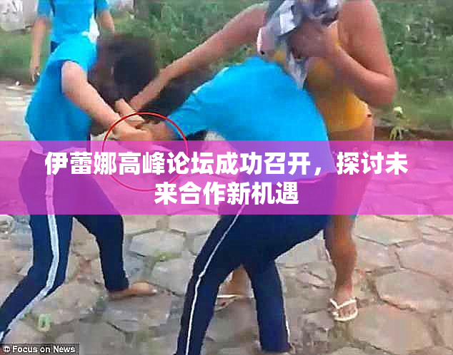 伊蕾娜高峰论坛成功召开，探讨未来合作新机遇