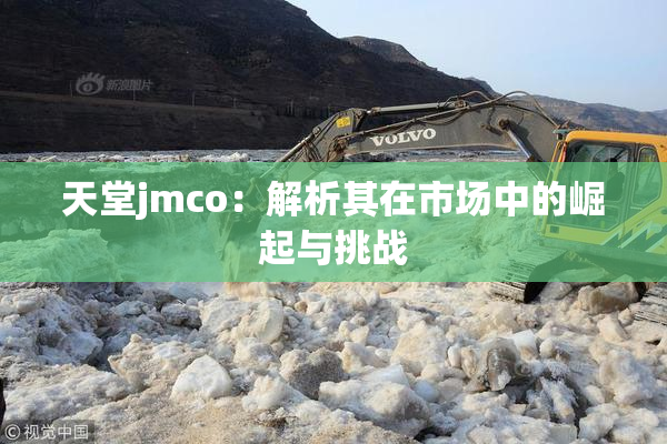 天堂jmco：解析其在市场中的崛起与挑战