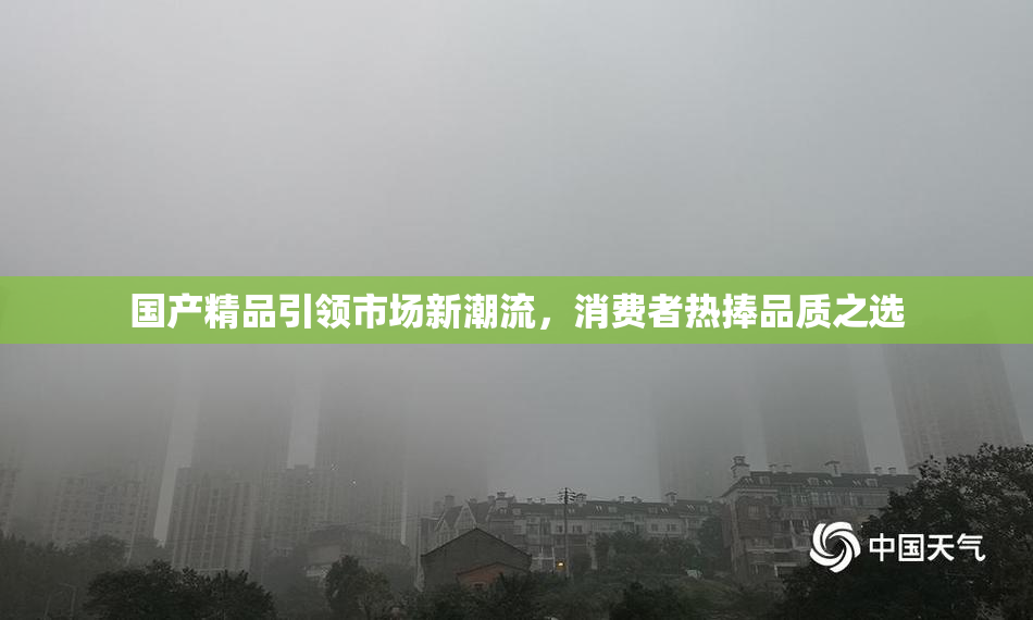 国产精品引领市场新潮流，消费者热捧品质之选