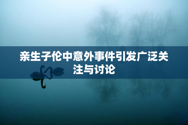 亲生子伦中意外事件引发广泛关注与讨论