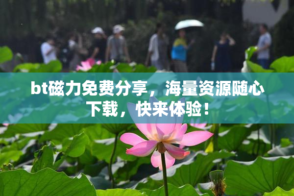 bt磁力免费分享，海量资源随心下载，快来体验！