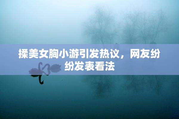 揉美女胸小游引发热议，网友纷纷发表看法
