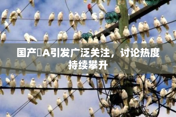 国产婬A引发广泛关注，讨论热度持续攀升