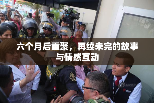 六个月后重聚，再续未完的故事与情感互动