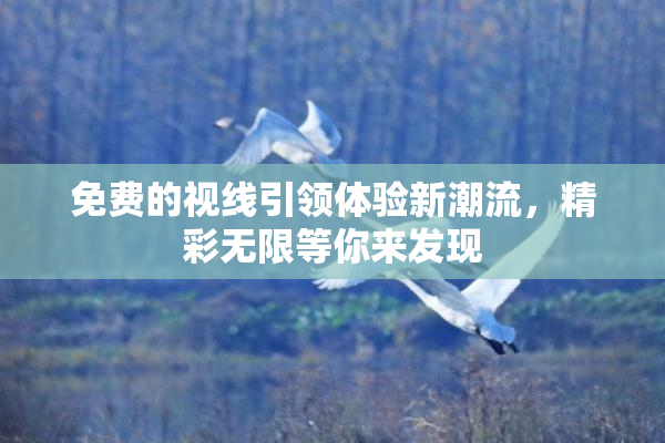 免费的视线引领体验新潮流，精彩无限等你来发现
