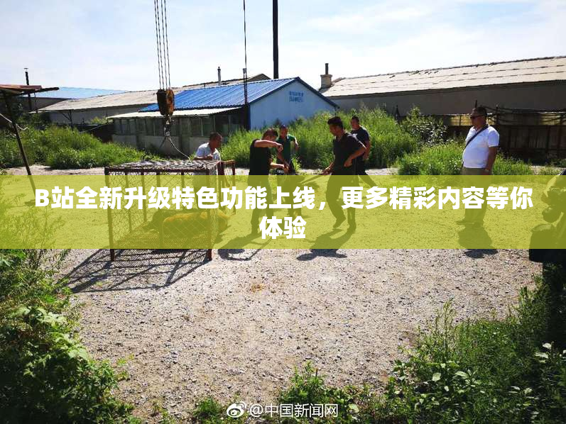 B站全新升级特色功能上线，更多精彩内容等你体验