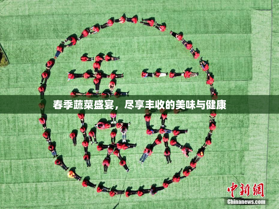 春季蔬菜盛宴，尽享丰收的美味与健康