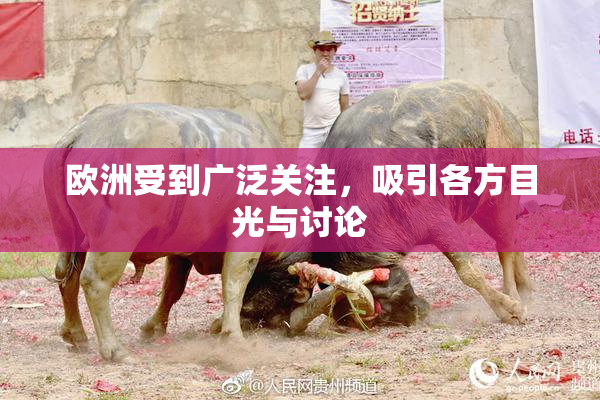 欧洲受到广泛关注，吸引各方目光与讨论