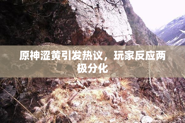 原神涩黄引发热议，玩家反应两极分化