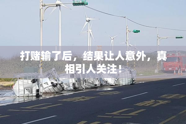 打赌输了后，结果让人意外，真相引人关注！