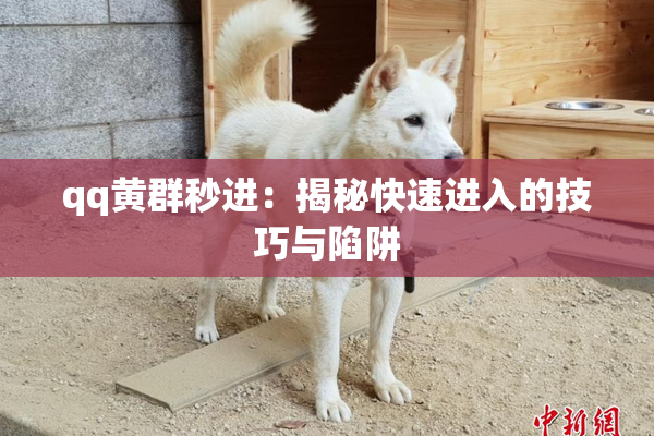 qq黄群秒进：揭秘快速进入的技巧与陷阱
