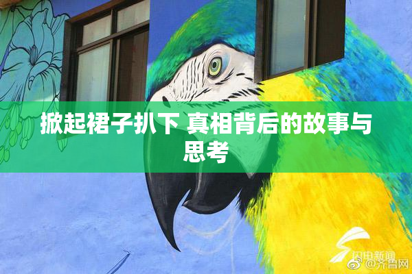 掀起裙子扒下 真相背后的故事与思考