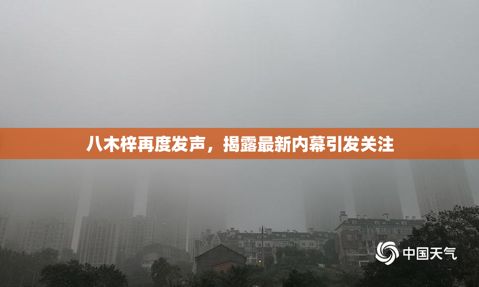 八木梓再度发声，揭露最新内幕引发关注